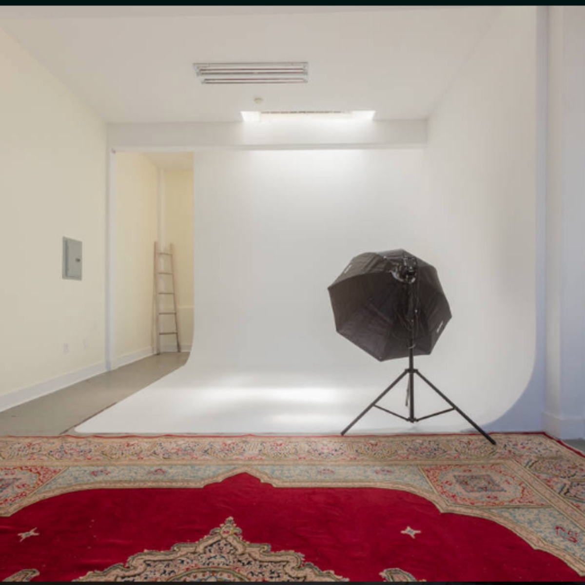 A photography studio features a white backdrop, a black umbrella light, a ladder, and a patterned rug on the floor.