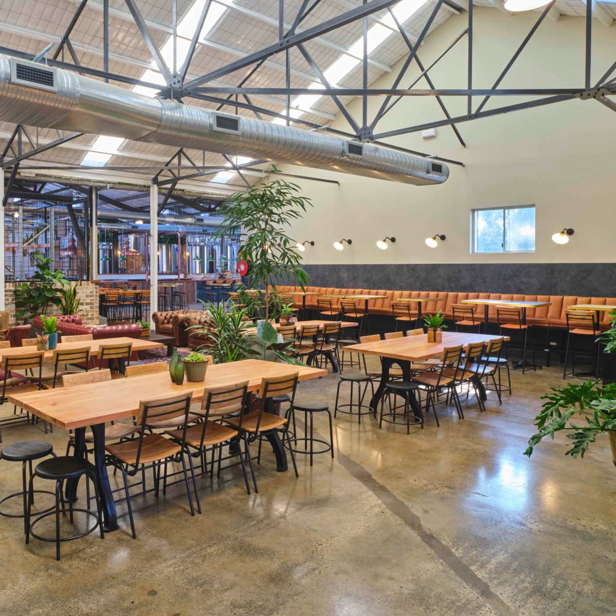 Sophisticated Industrial Brewery and Tap Room in St Peters Image in Saint Peters, St Peters, NSW