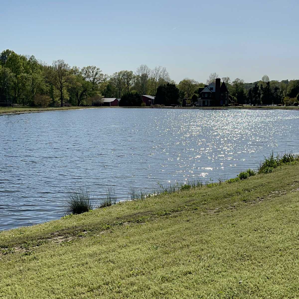 A calm lake reflects sunlight, bordered by grassy land and a house in the background.