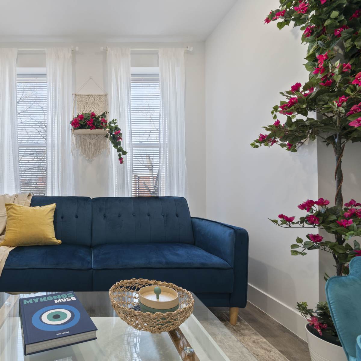 A blue couch with a yellow throw pillow sits in a well-lit room adorned with white curtains and plants.