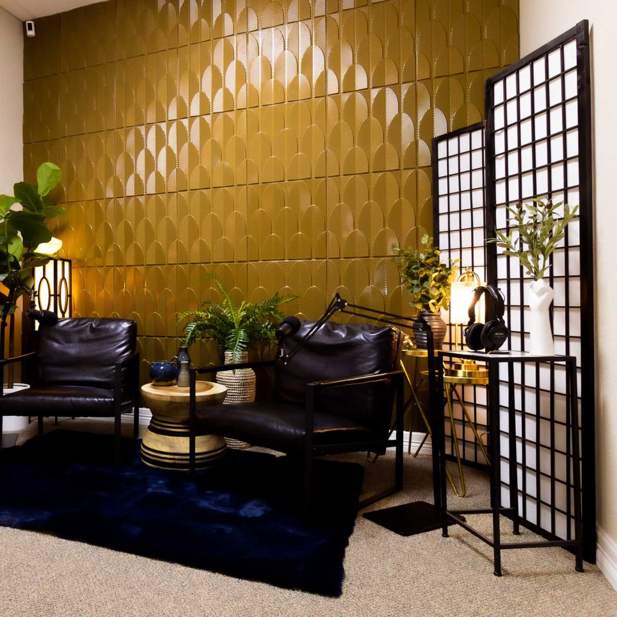 Podcast Studio with Audio and Lighting, Beaumont, TX Production