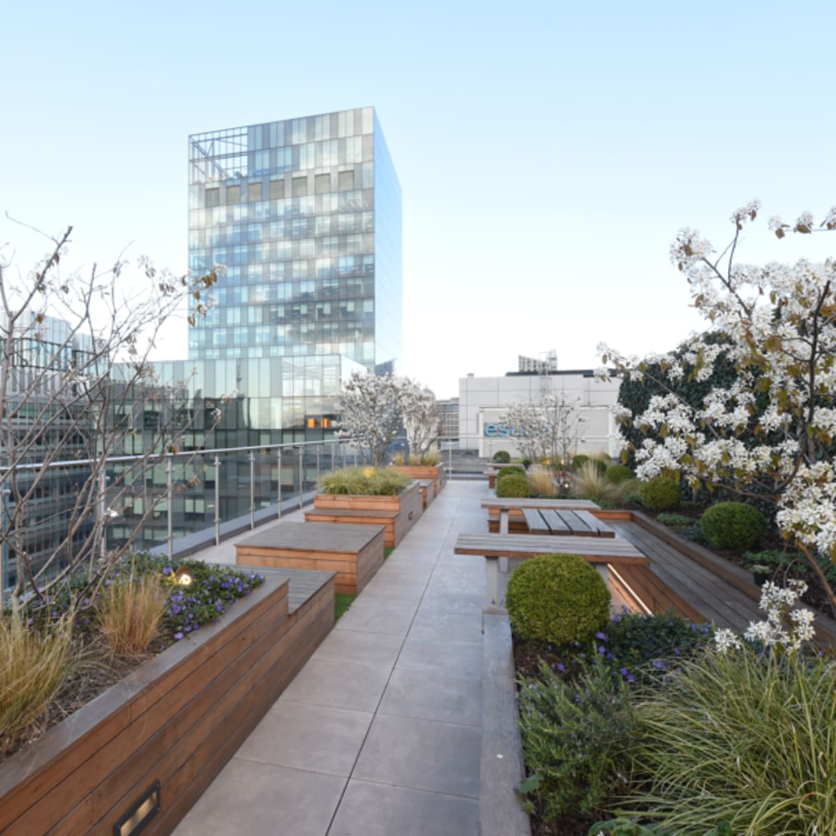 A rooftop garden with wooden planters, flowering trees, and a modern glass building in the background.