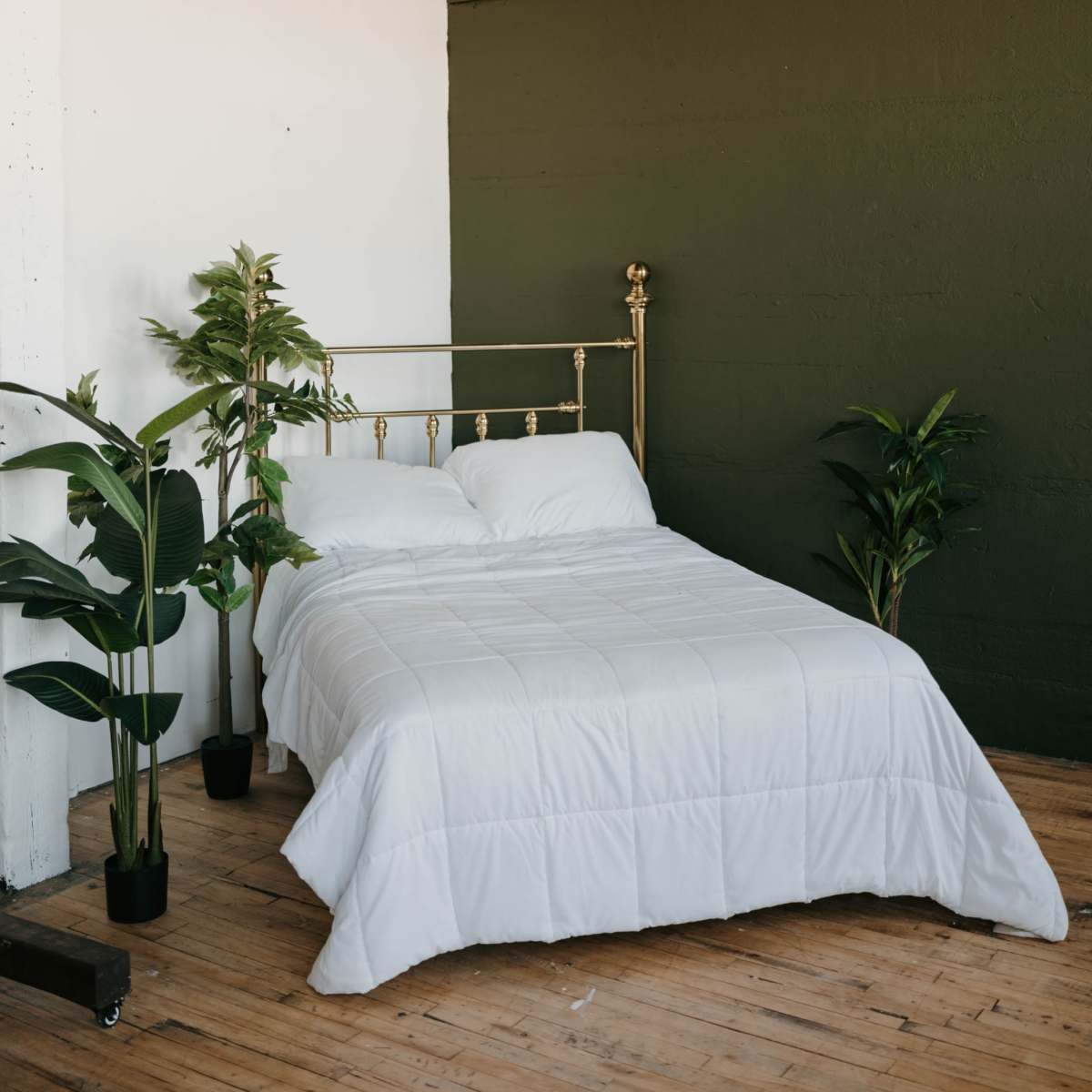 Natural light photo studio in northeast Minneapolis with neutral colors and an emphasis on plants/greenery in Minneapolis Image in Northeast Minneapolis Arts District, Minneapolis, MN