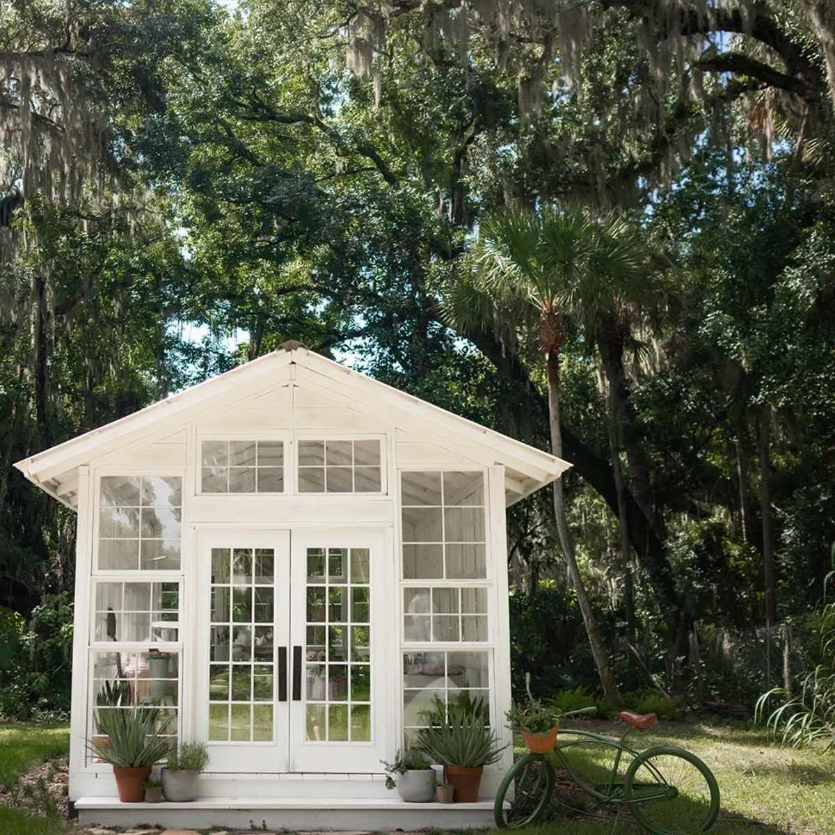 Natural Light Greenhouse in Mims Image in Indian River Park, Mims, FL