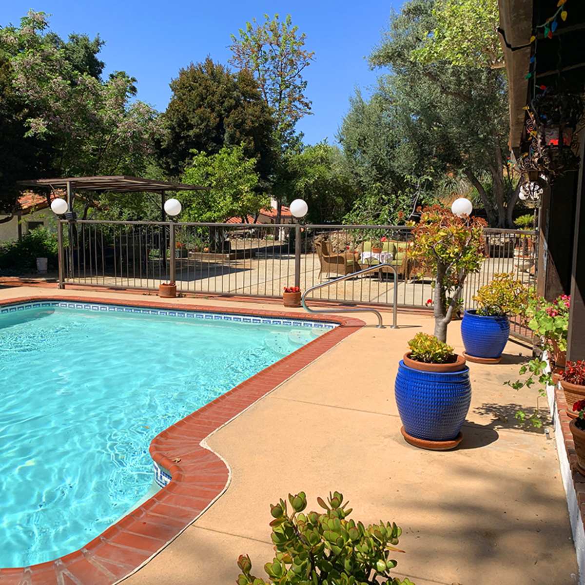 A swimming pool surrounded by a patio with potted plants and a railing, set against a backdrop of trees and a sunny sky.