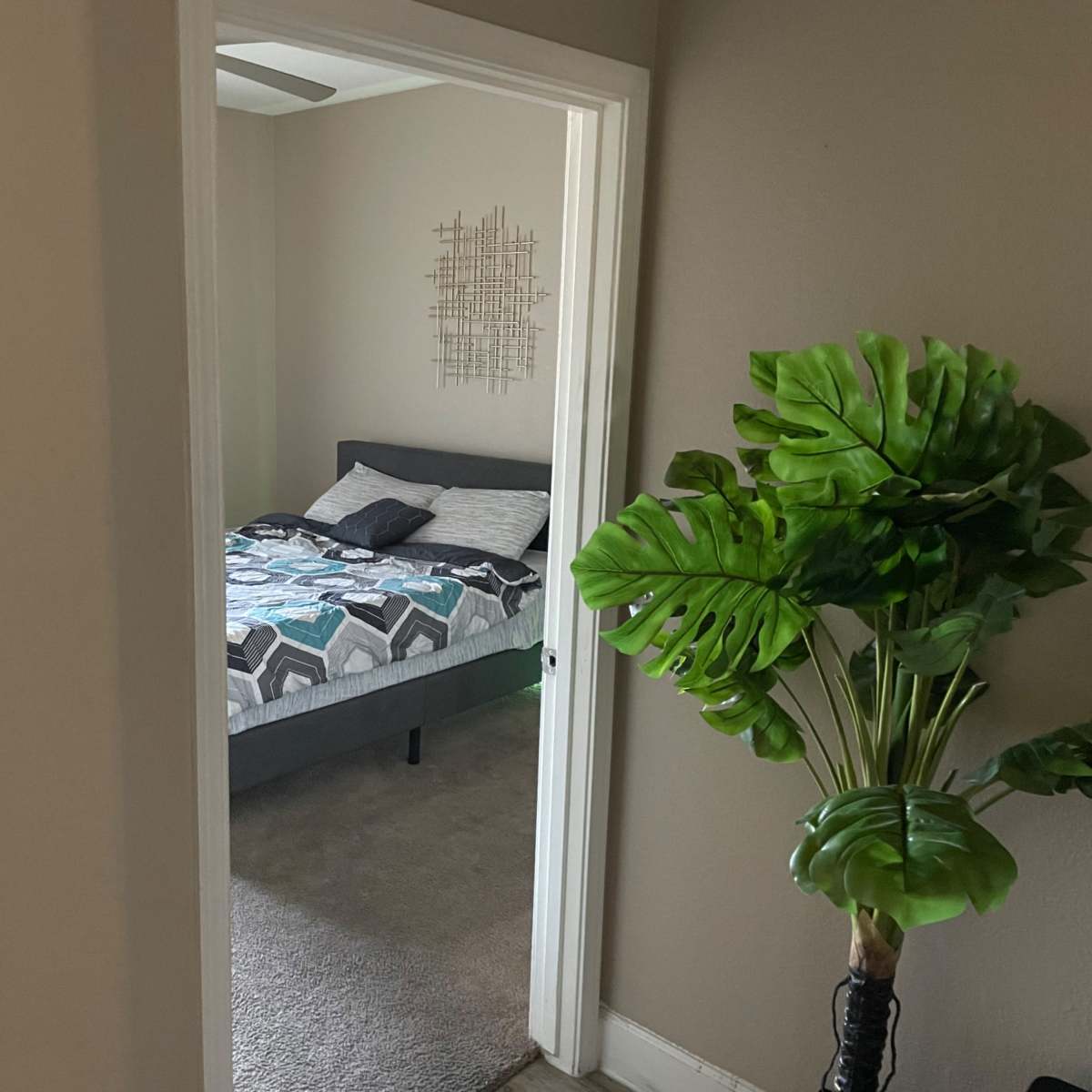 A view from a hallway into a bedroom features a bed with a geometric patterned comforter and a large potted plant beside the entrance.