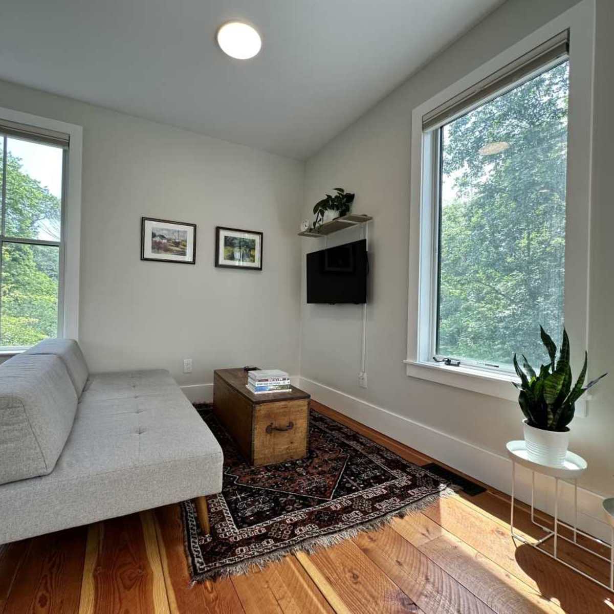 A minimalist living space with a gray sofa, a wooden coffee table on a patterned rug, two framed pictures on the wall, and large windows revealing greenery outside.