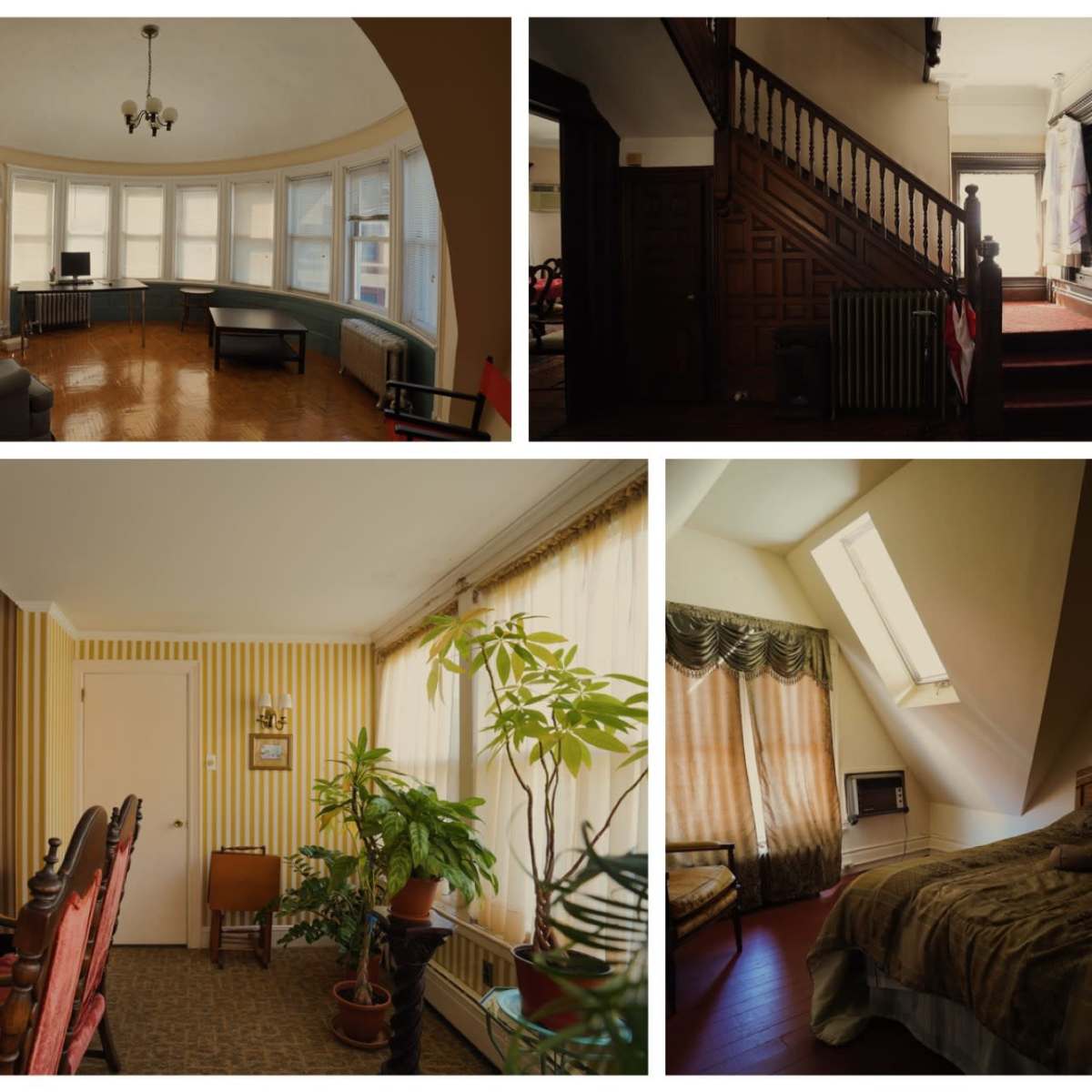 A collection of distinct interior spaces, including a living room with large windows, an entryway with a staircase, a bedroom with a skylight, and a dining area with patterned walls and plants.