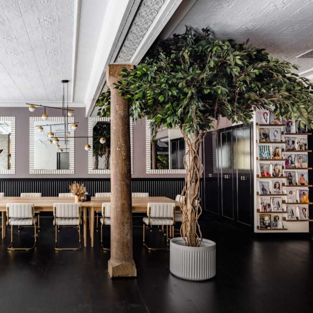 A modern interior featuring a long wooden table surrounded by white chairs, with large windows, decorative plants, and shelves filled with magazines.