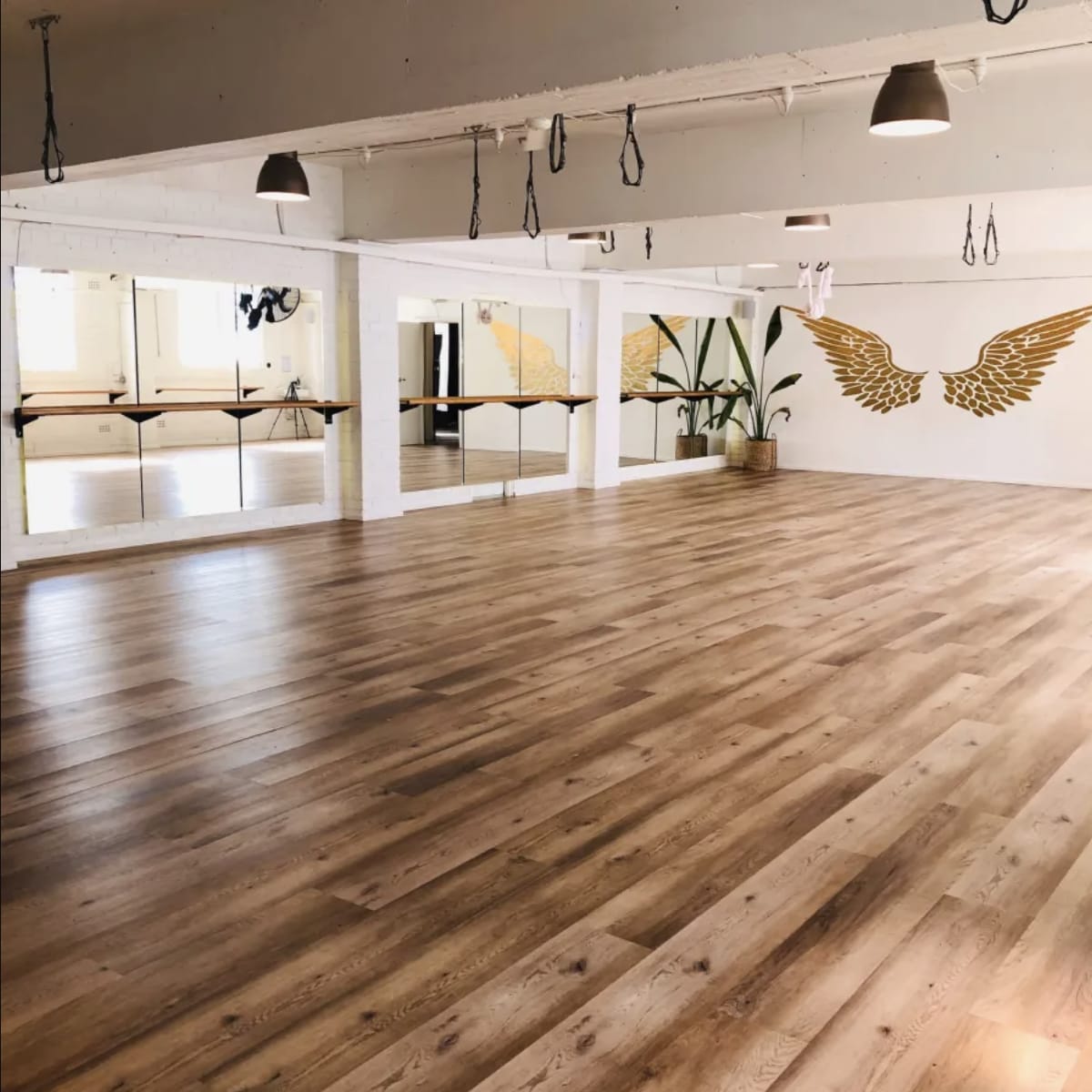 A spacious fitness studio with wooden flooring, large mirrors, and a wall decorated with golden wings.