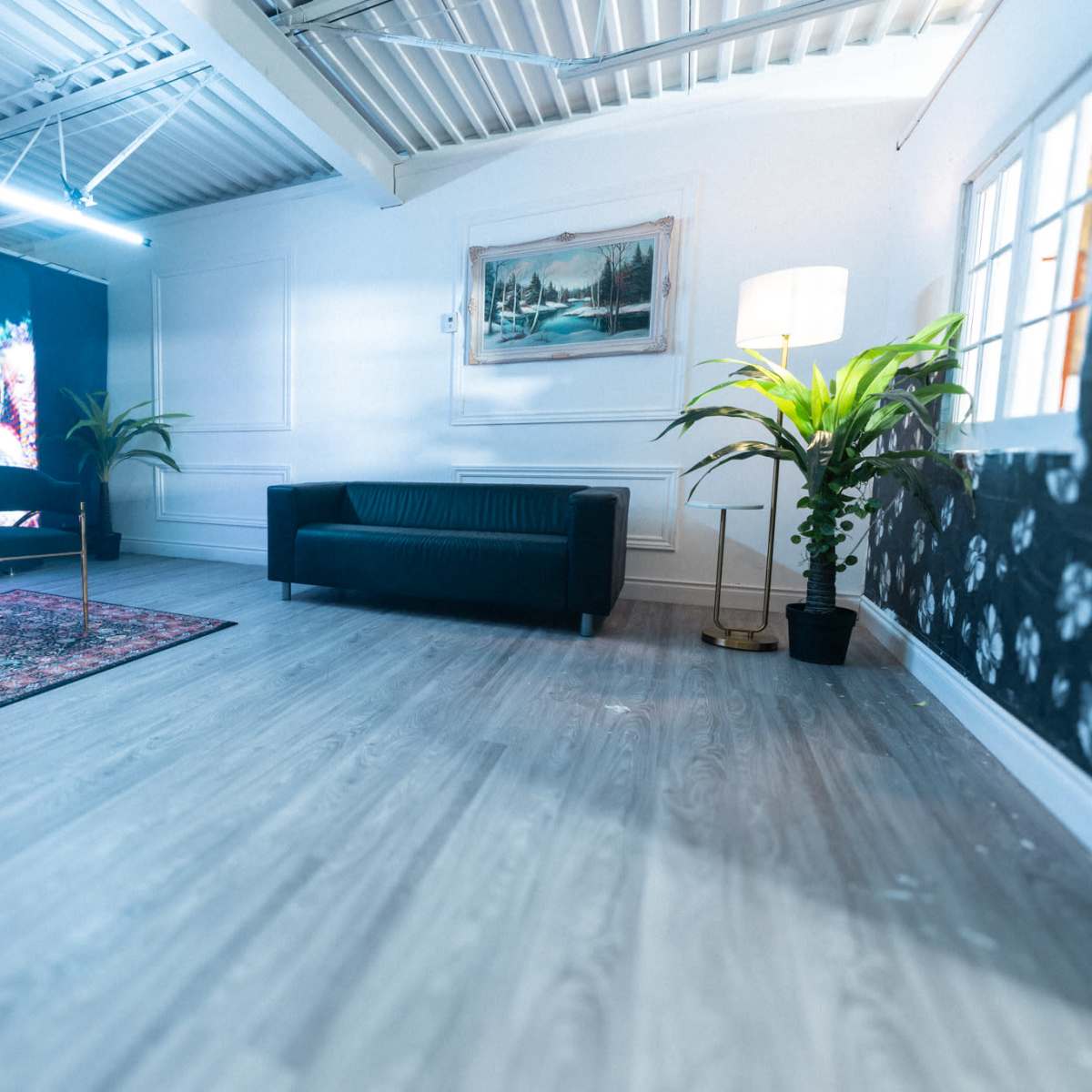 A modern, minimalistic room with a black sofa, two chairs, a colorful mural on the wall, and a potted plant.