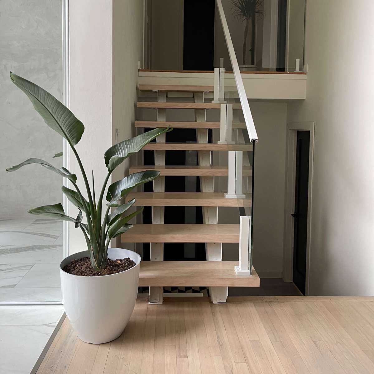 A set of wooden stairs with a glass railing leads to an upper level, accompanied by a large potted plant at the bottom.