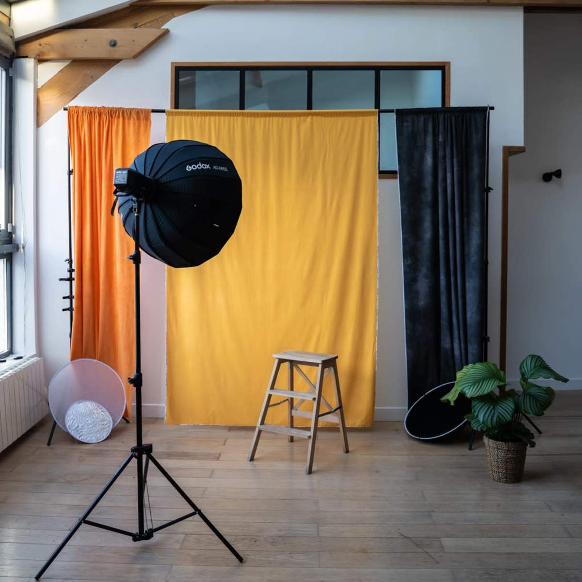 A photography studio features colorful backdrops, lighting equipment, a wooden ladder, and a potted plant.