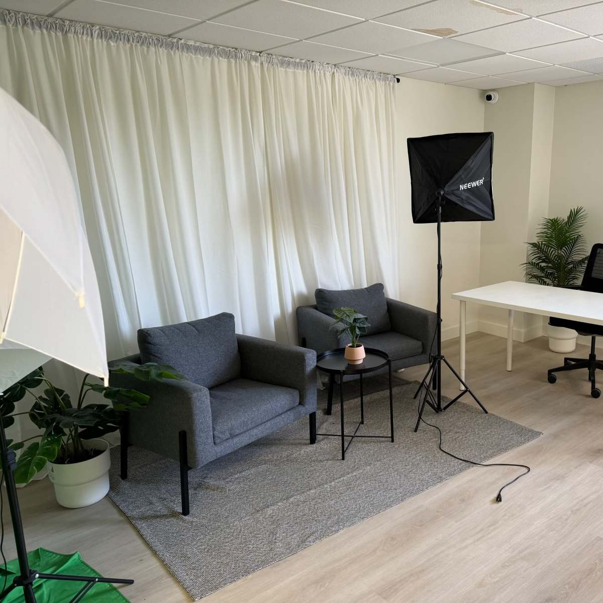 A minimalist office setup with two gray armchairs, a small table with a plant, a desk and chair, soft lighting equipment, and potted plants against a white backdrop.