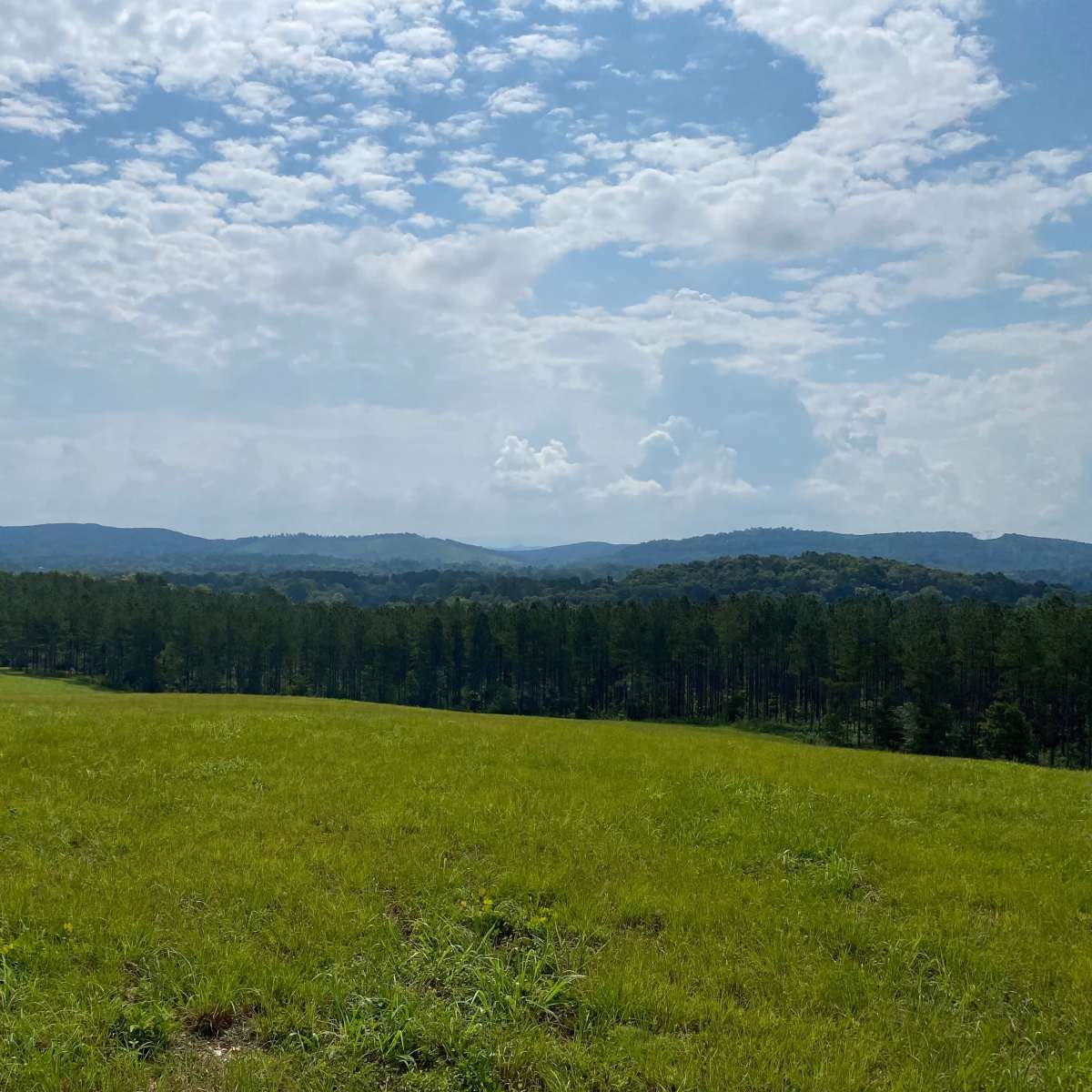 A wide view of a grassy field extends toward a line of trees and rolling hills under a cloudy sky.