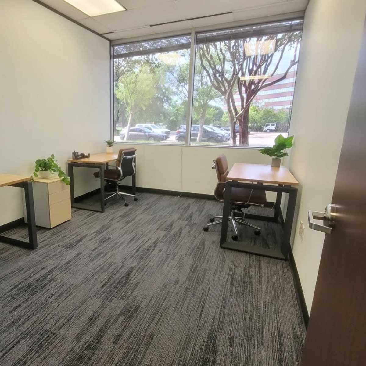 A clean, well-lit office space with two desks, chairs, and plants near a large window.