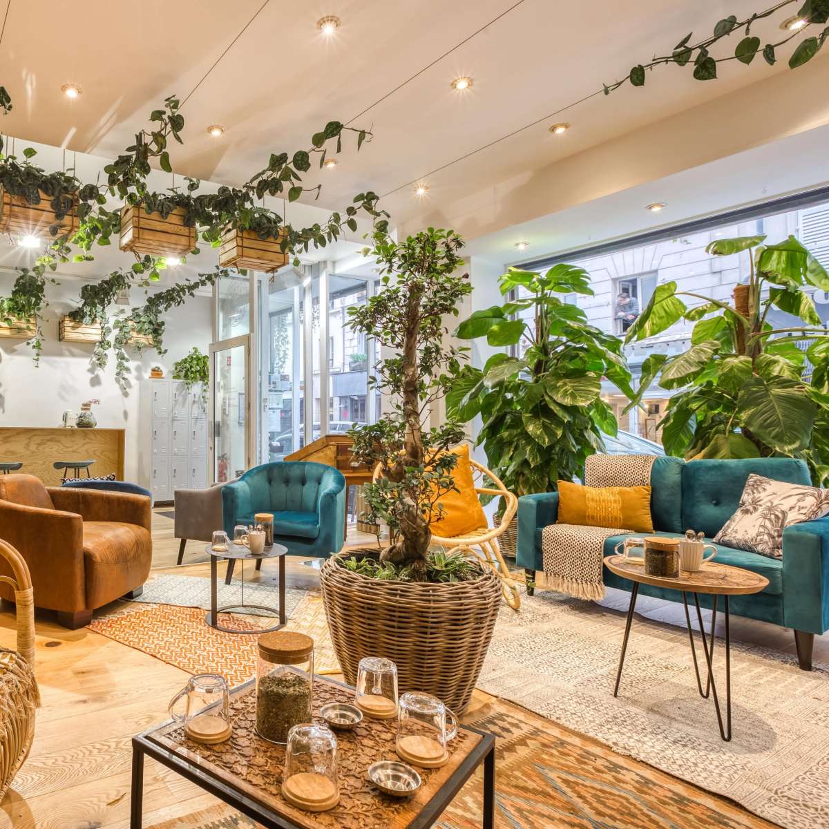 A cozy interior space featuring a mix of rattan and upholstered furniture, lush green plants, and warm lighting.