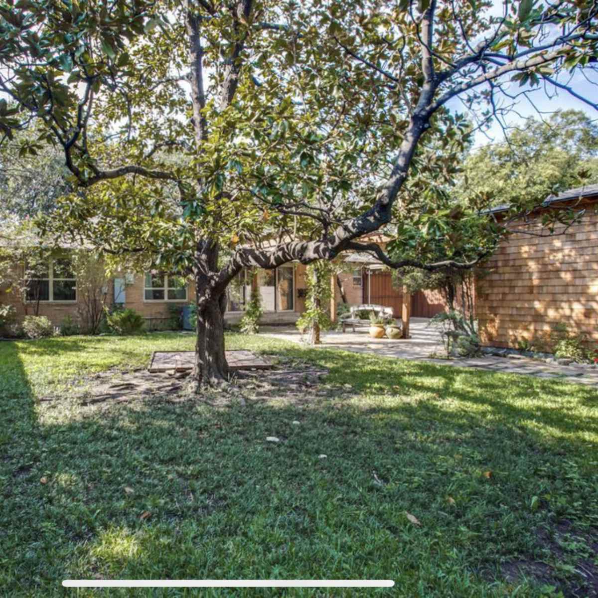 A backyard features a large tree surrounded by a grassy area and a wooden fence.