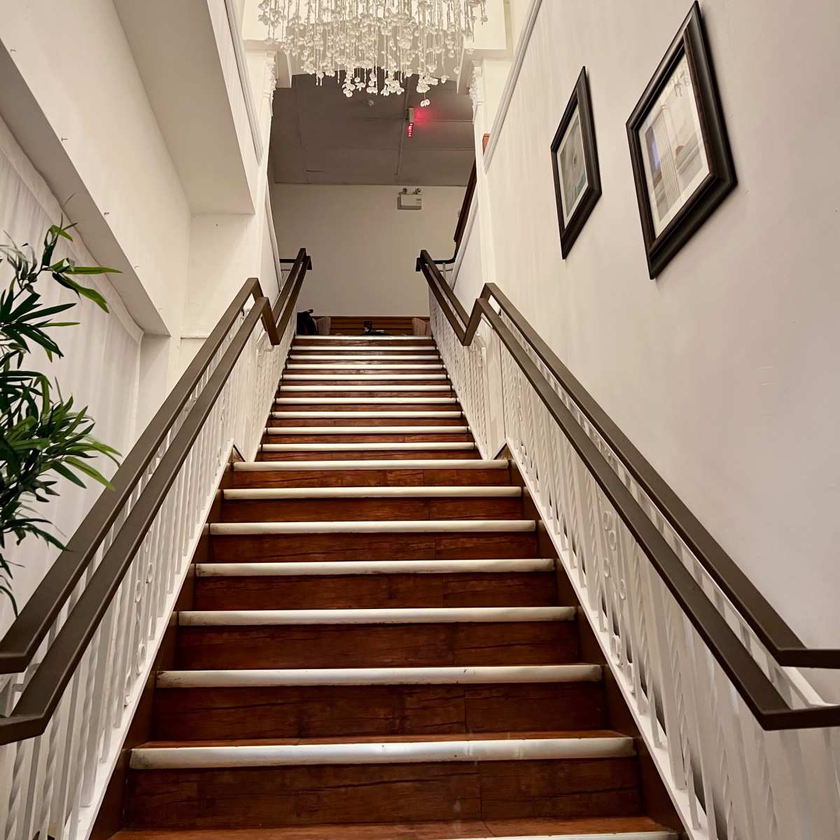 A staircase with wooden steps and a white banister leads up to a chandelier hanging from the ceiling.