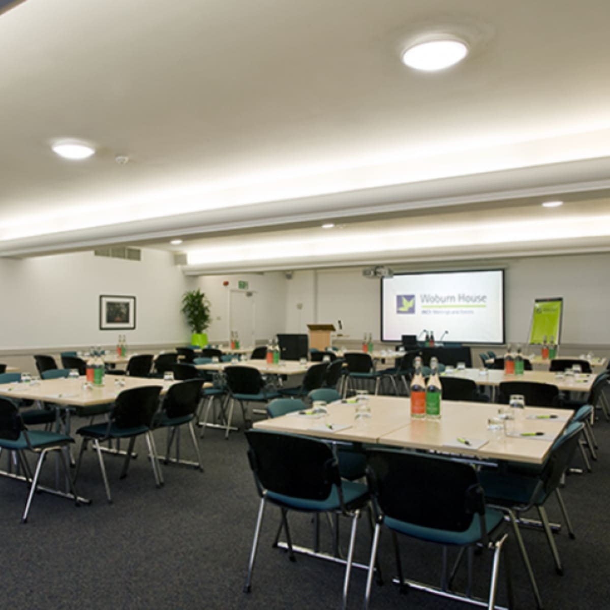 A conference room is set up with multiple rows of tables and chairs, featuring a presentation screen at the front and greenery in decorative planters.