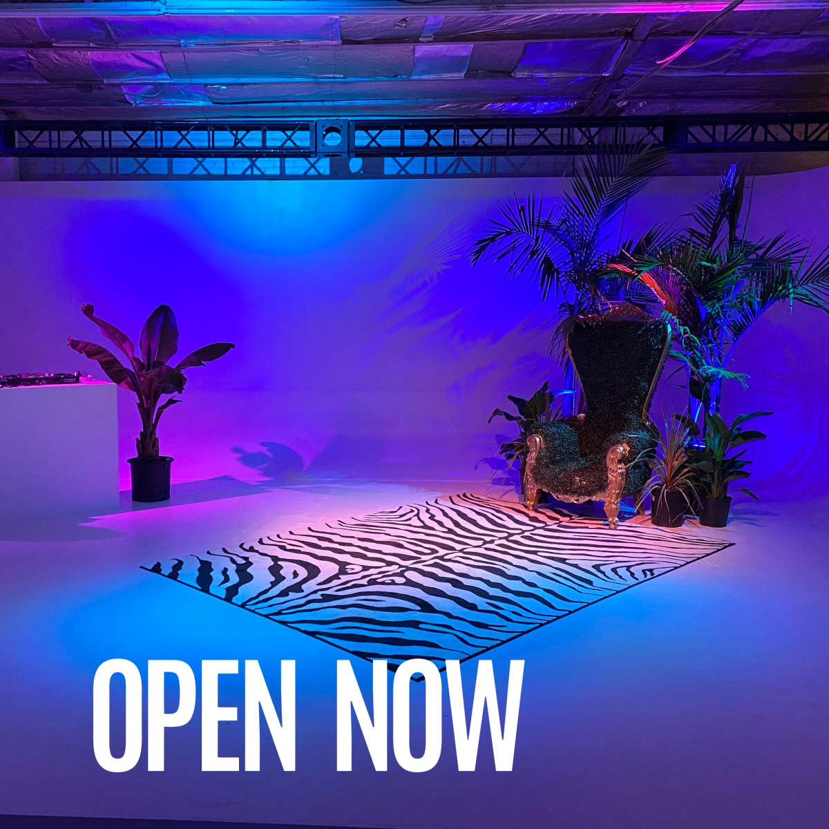 The scene features a vibrant studio space with a zebra-striped rug, a large decorative chair surrounded by tropical plants, and a DJ station in the background.