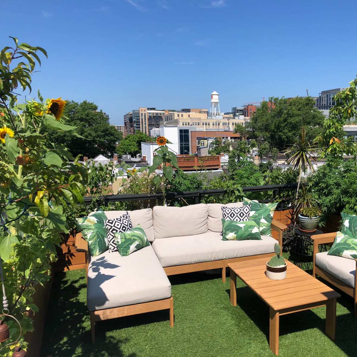 A rooftop garden features a seating area with a light-colored sofa and wooden coffee table surrounded by vibrant plants and buildings in the background.