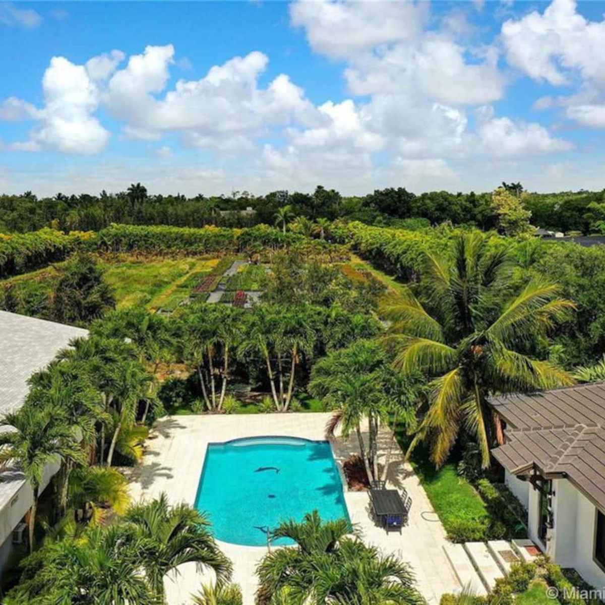 A spacious backyard with a swimming pool surrounded by palm trees, a landscaped garden, and a modern house adjacent to it.