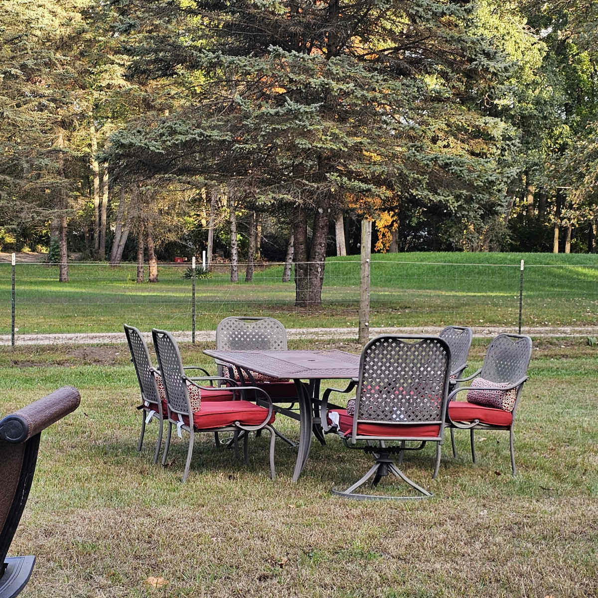 The Oasis Forest in Willis Image in Augusta Township, Willis, MI