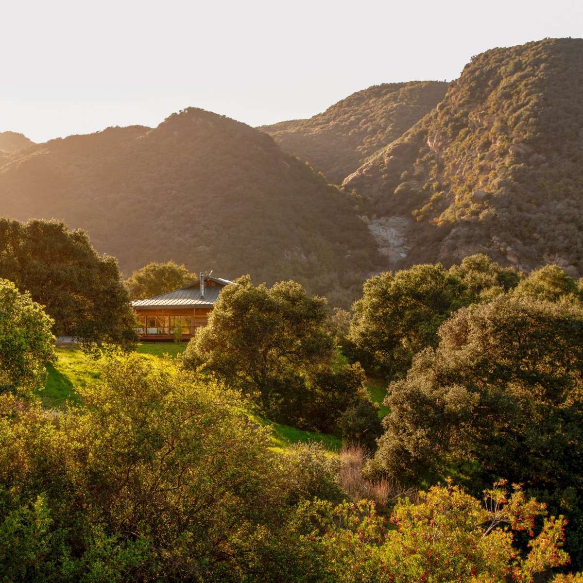 A wooden house is situated amidst green trees and rolling hills during sunset.
