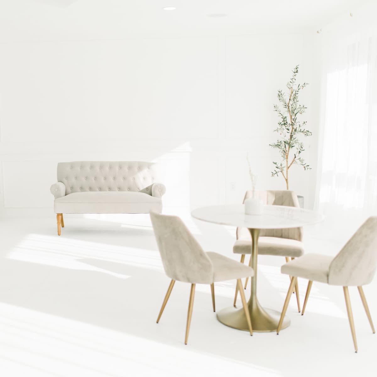 A bright, minimalist room featuring a tufted sofa, a round table with four chairs, and a small tree near a white wall.