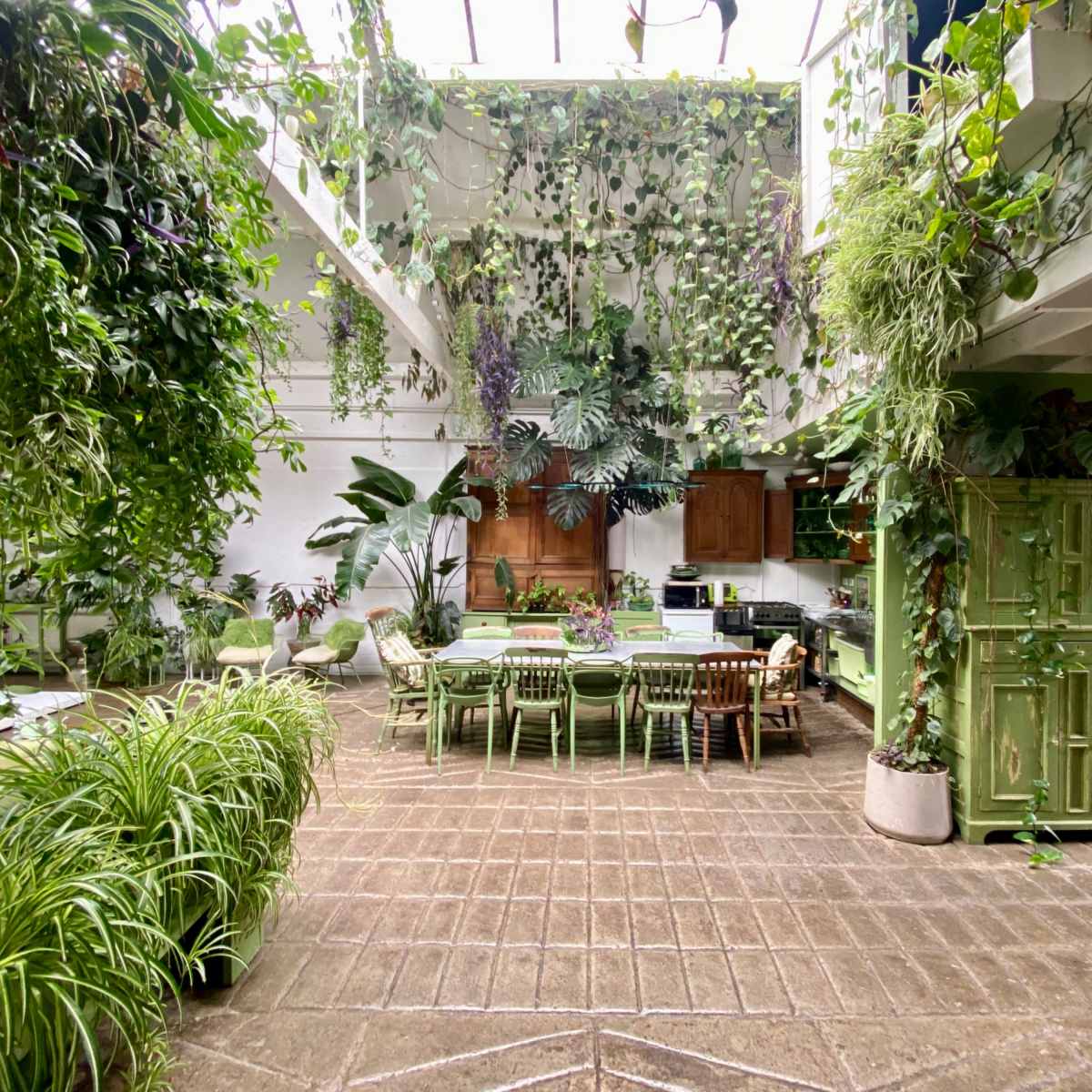 An indoor space filled with various plants, featuring a large dining table surrounded by chairs and a green cabinet.