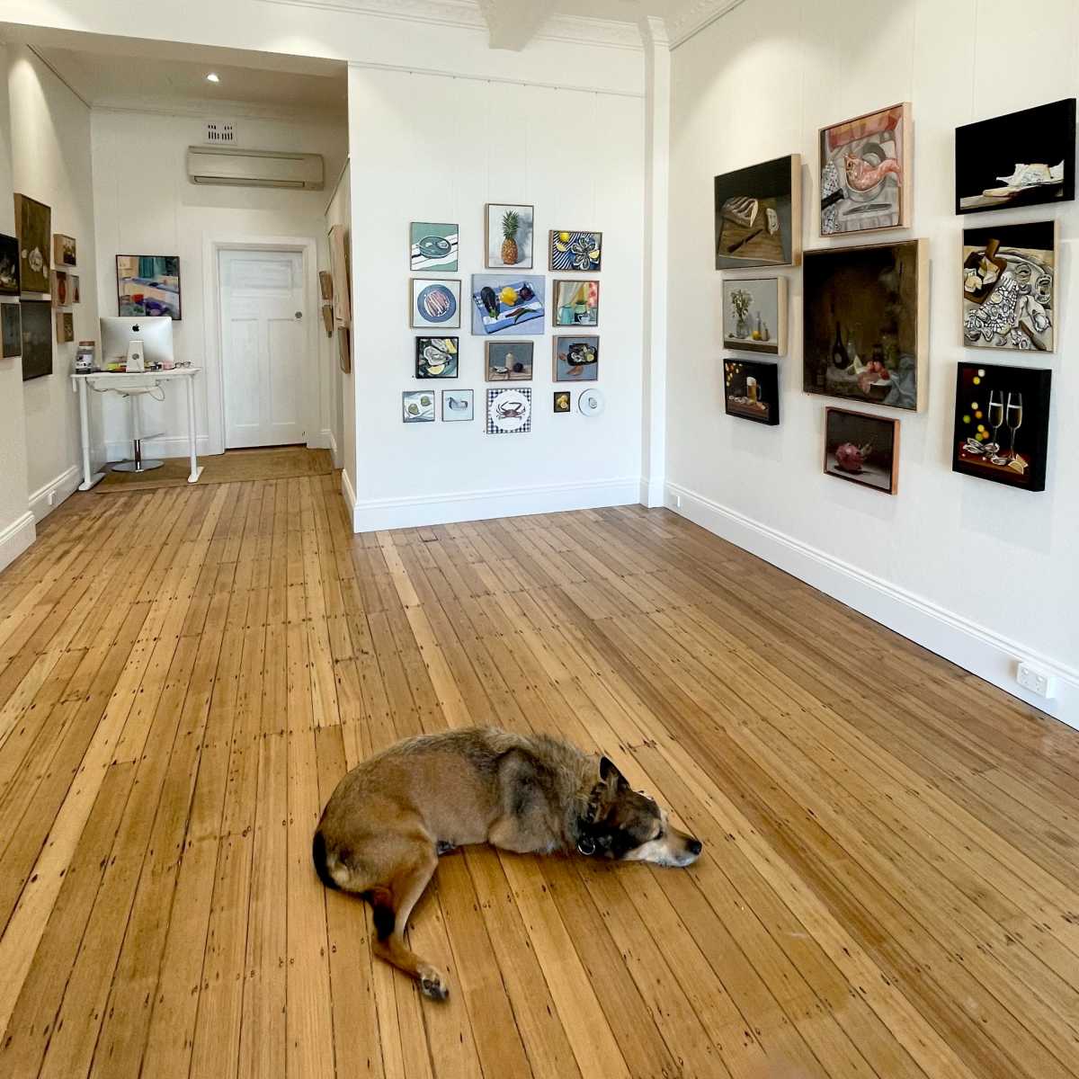 Exclusive Woollahra Gallery Space in Woollahra Image in Woollahra, Woollahra, NSW