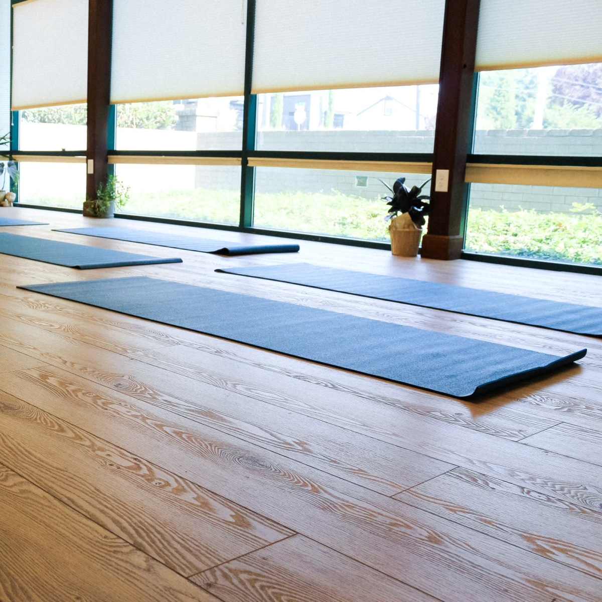 Beautifully lit studio in Downtown Vancouver, WA, Vancouver, WA