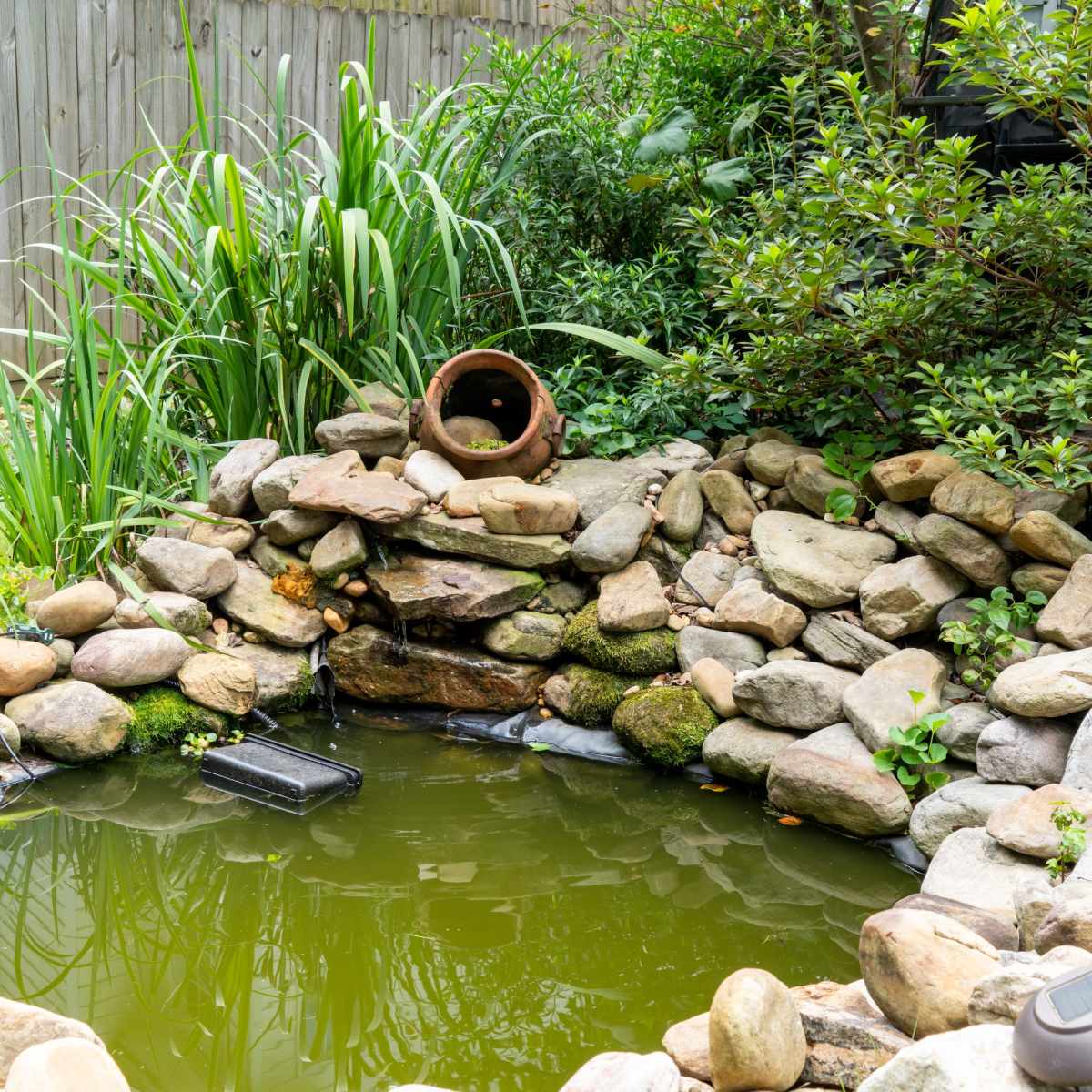 A small pond surrounded by a curved rock border, with green plants and a clay pot partially visible above the water.