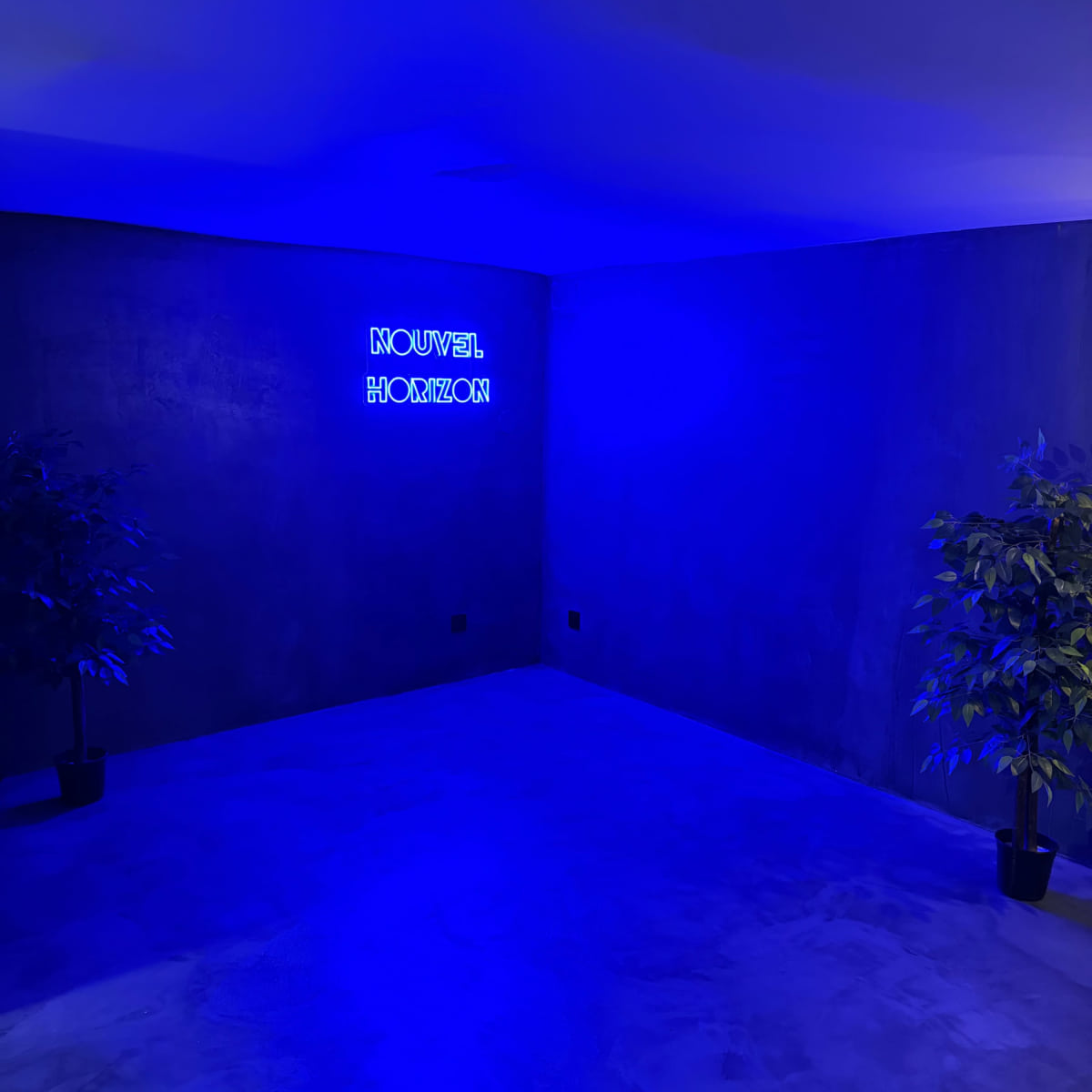 A minimalist room with blue lighting, a concrete wall, and two potted plants in the corners.