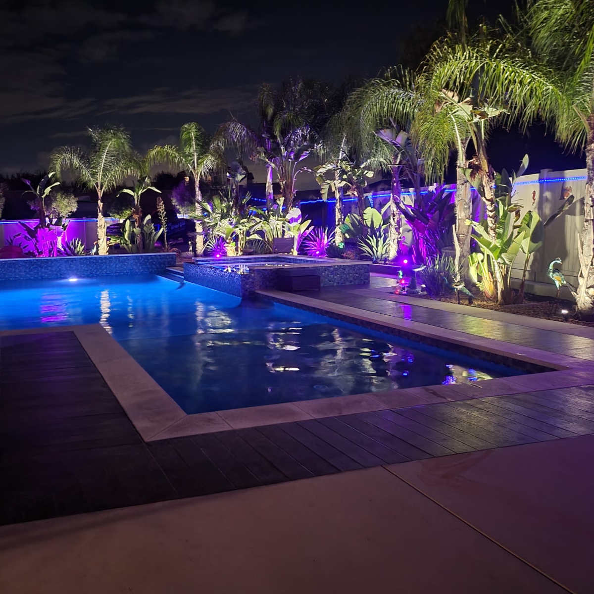 A well-lit swimming pool surrounded by tropical plants and trees, showcasing colored lighting in a nighttime setting.