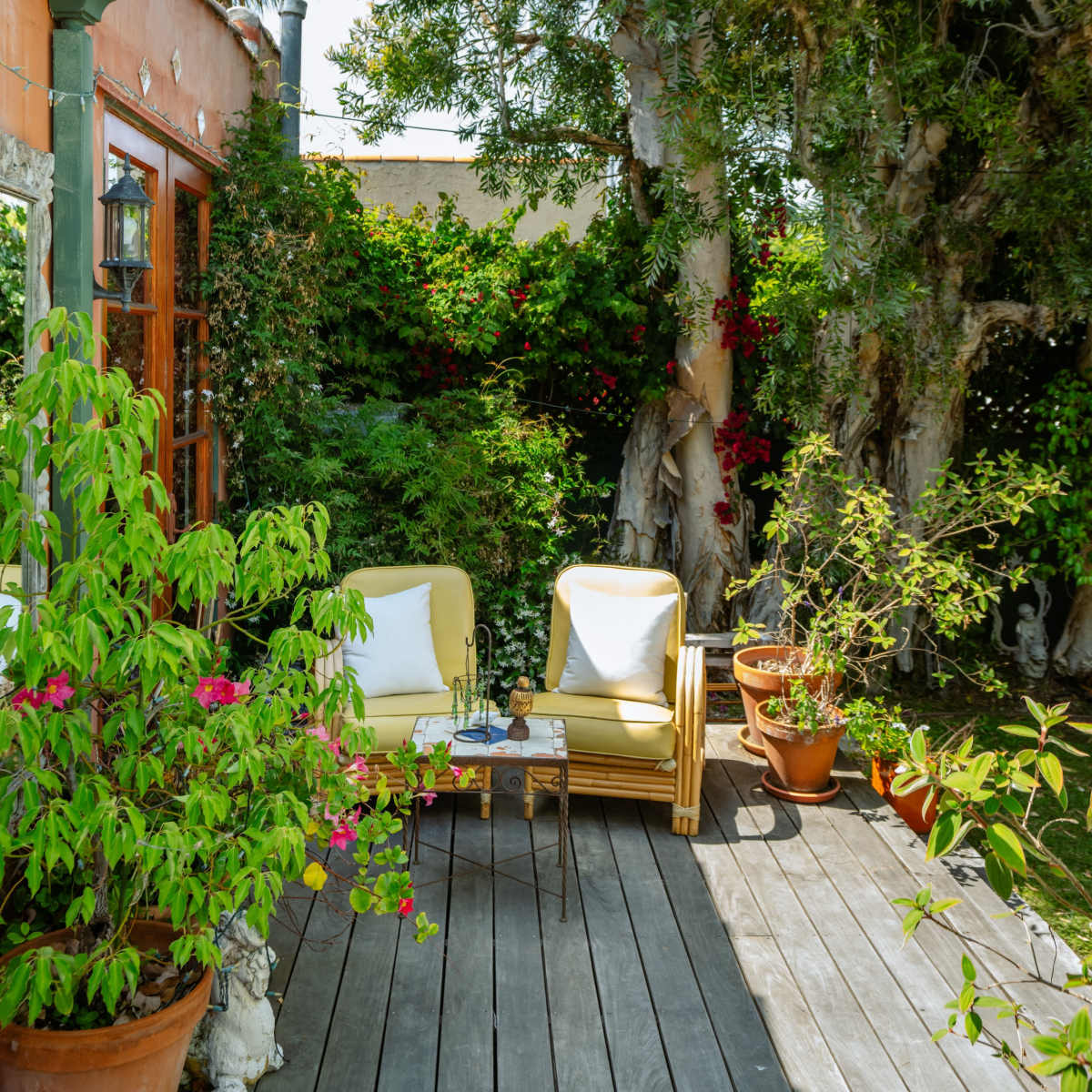 A wooden patio features two white-cushioned chairs surrounded by various potted plants and trees.