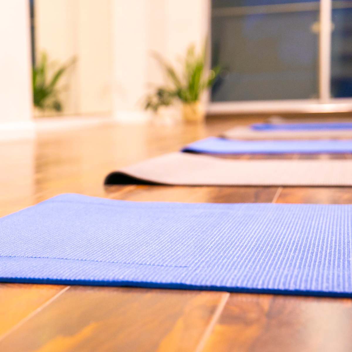 Blue and gray yoga mats arranged on a polished wooden floor in a room with large mirrors and plants in the background.