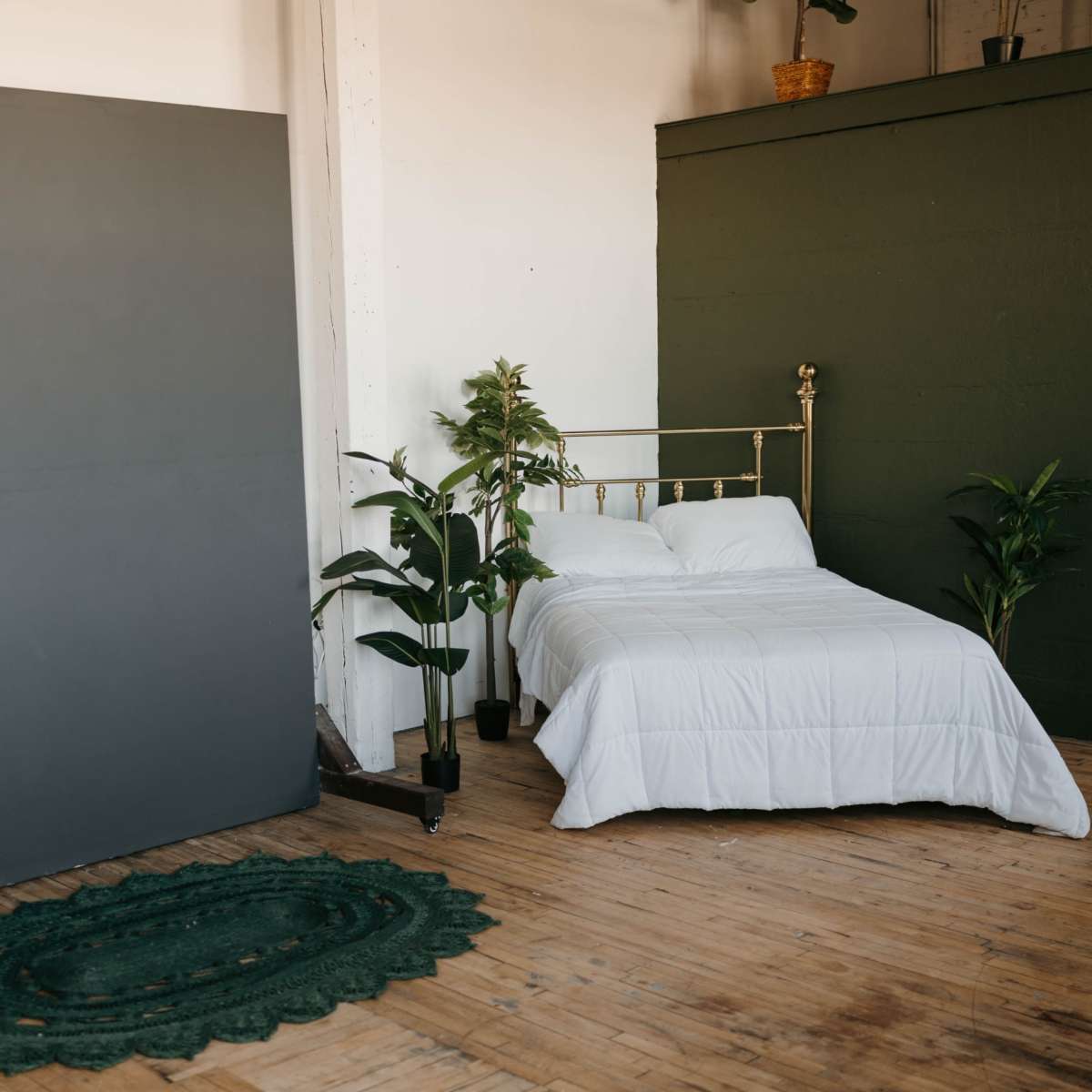 Natural light photo studio in northeast Minneapolis with neutral colors and an emphasis on plants/greenery in Minneapolis Image in Northeast Minneapolis Arts District, Minneapolis, MN