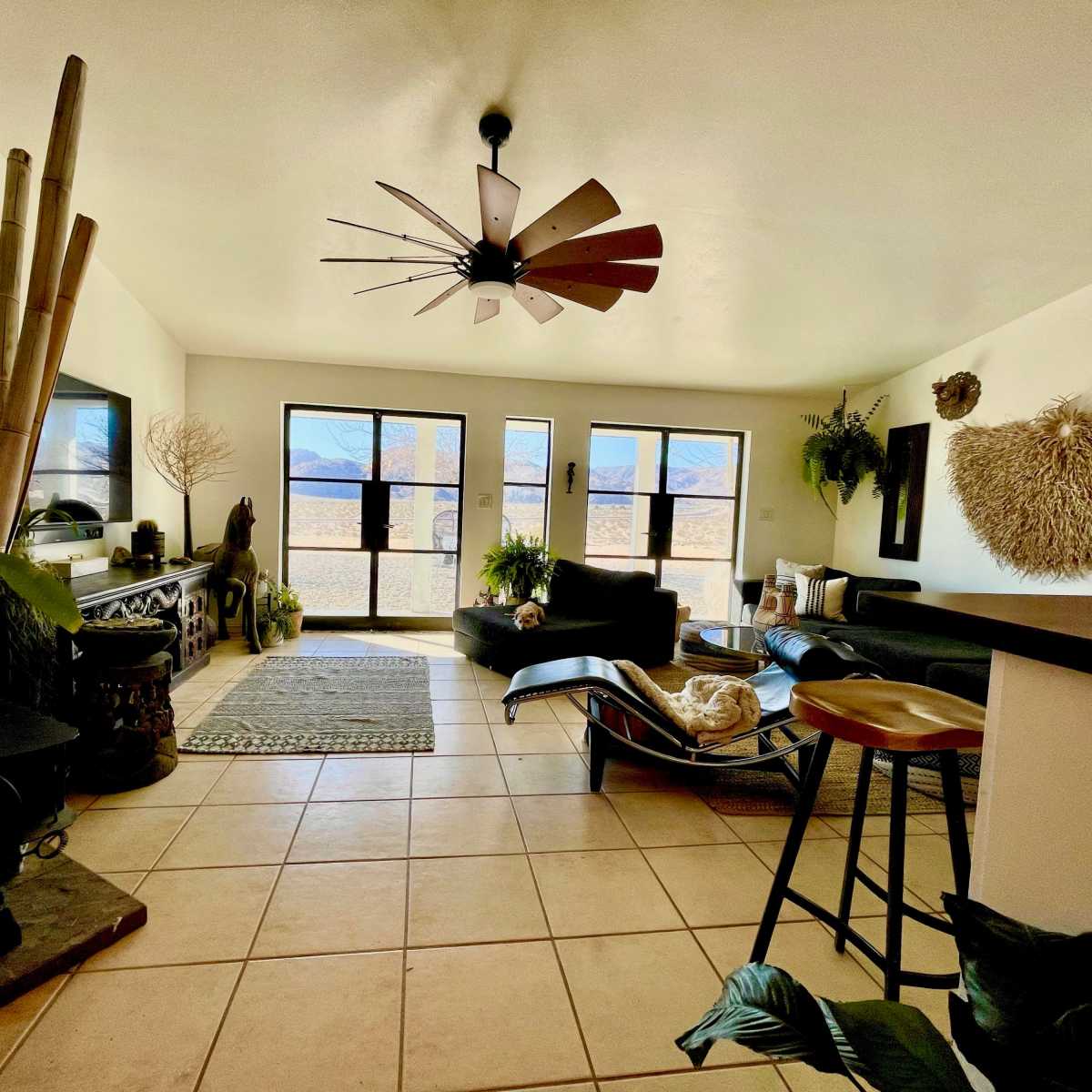A spacious living room featuring large windows, a ceiling fan, and various plants, along with a sectional sofa and decorative wall elements.