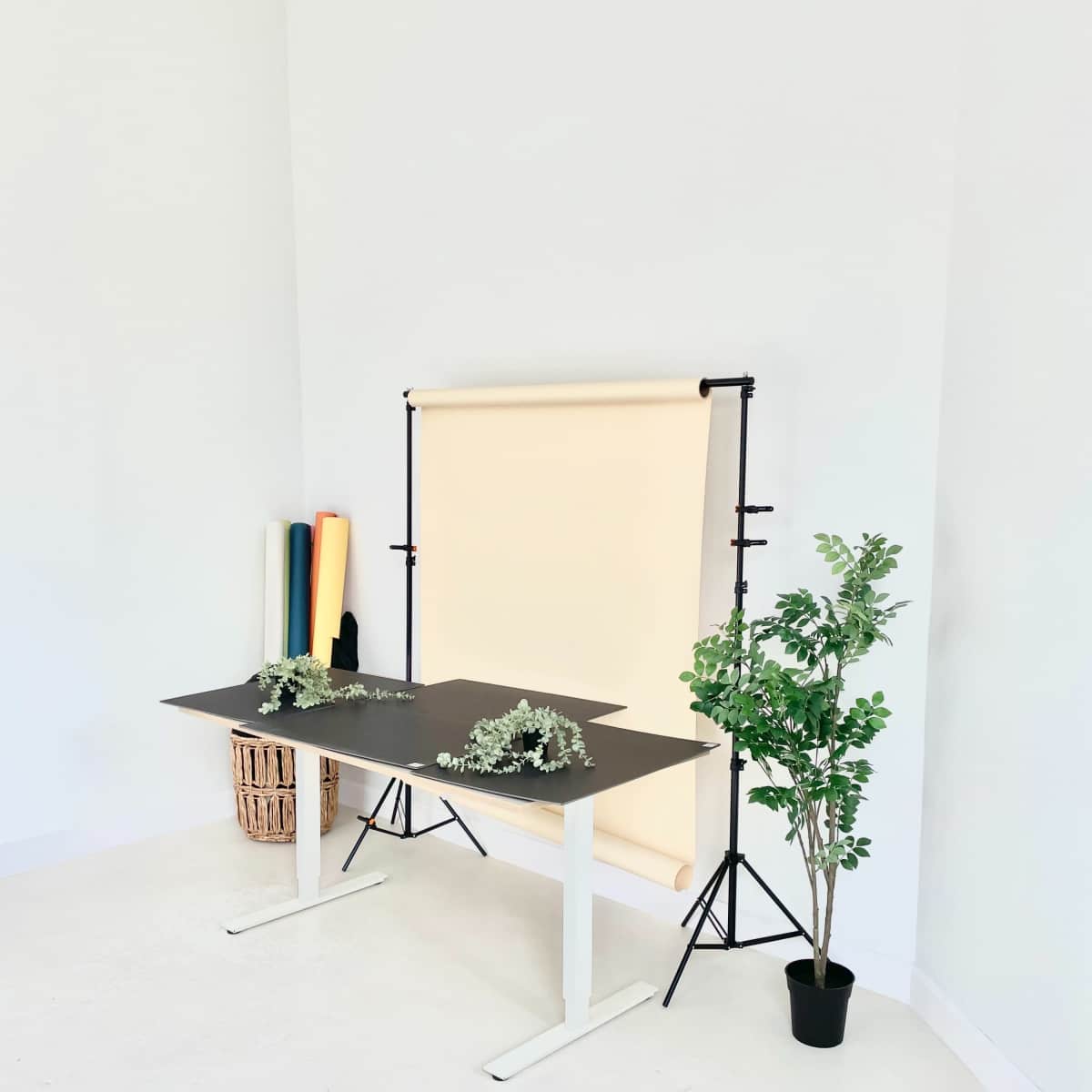 A simple studio setup features a black table, a beige backdrop on a stand, and a potted plant next to a storage basket.