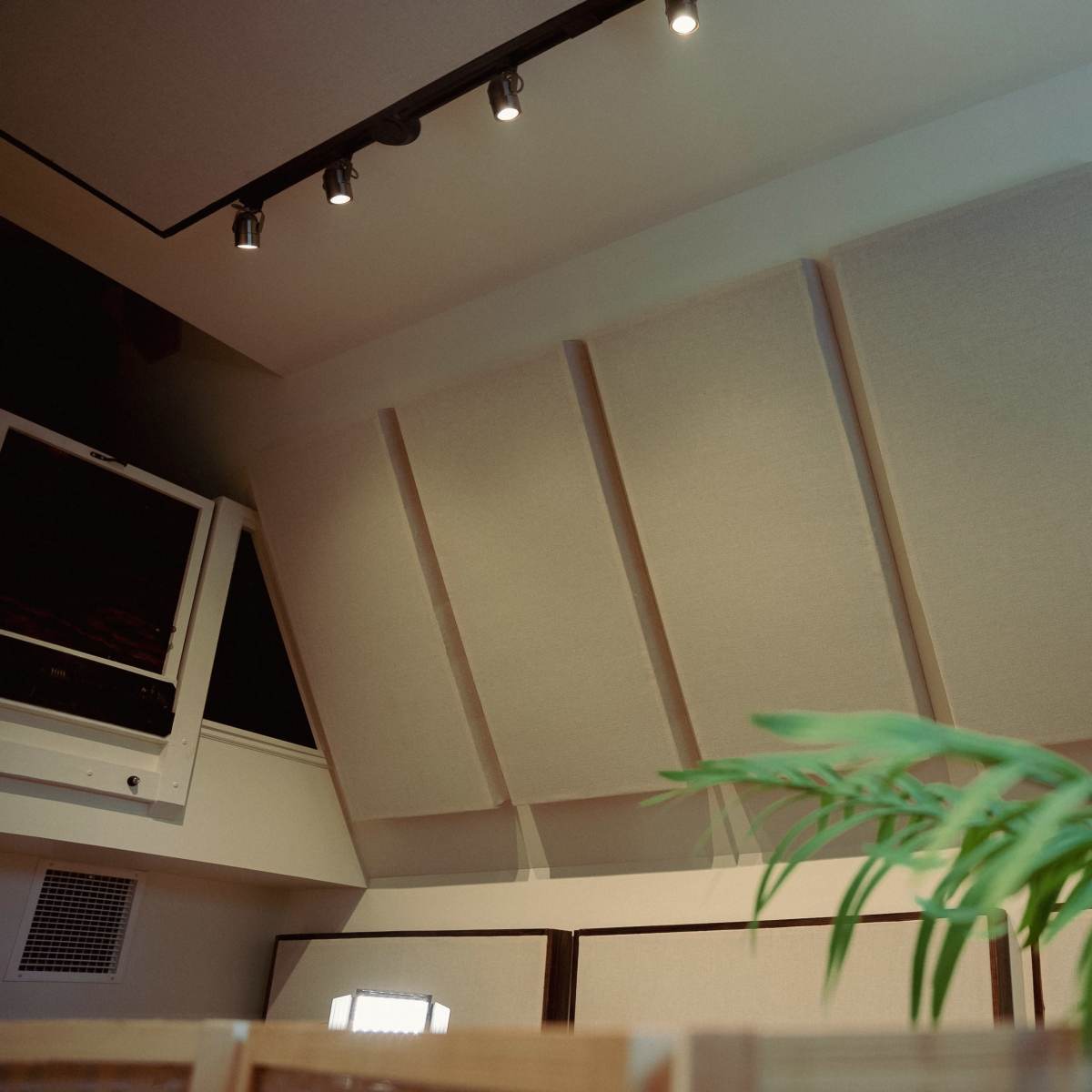 A room with slanted acoustic panels on the ceiling, illuminated by adjustable track lighting, with a green plant in the foreground.