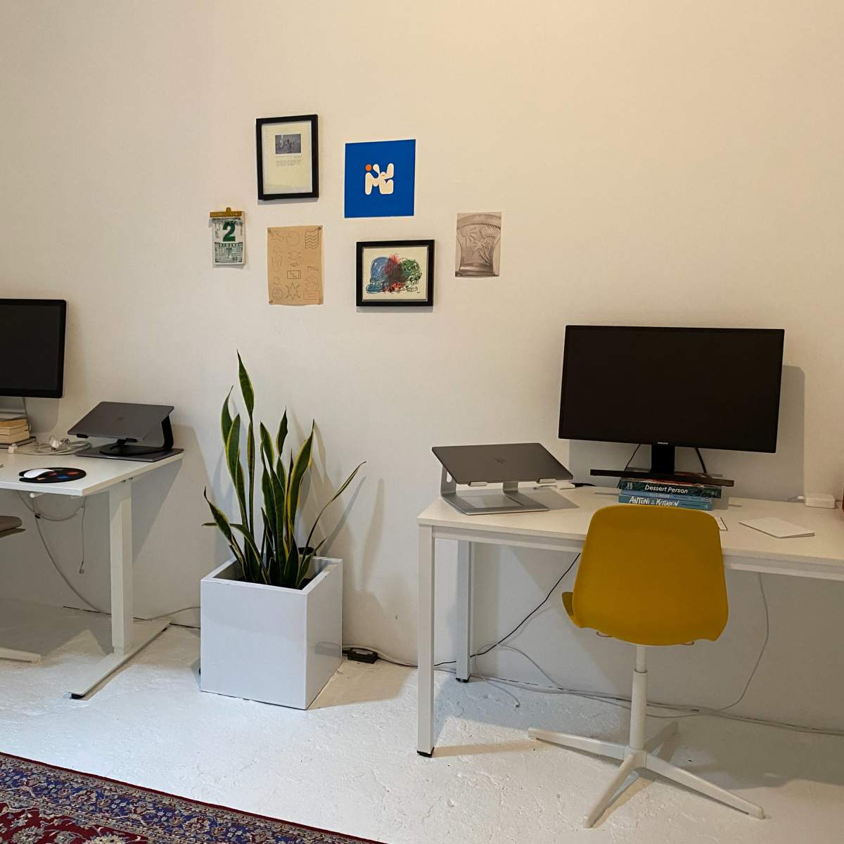 A minimalist workspace featuring two desks with computers, a plant in a white pot, and a few framed pictures on the wall.