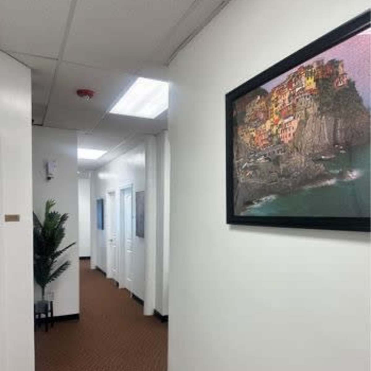 A well-lit corridor features several closed doors and a framed picture on the wall, alongside a decorative plant.
