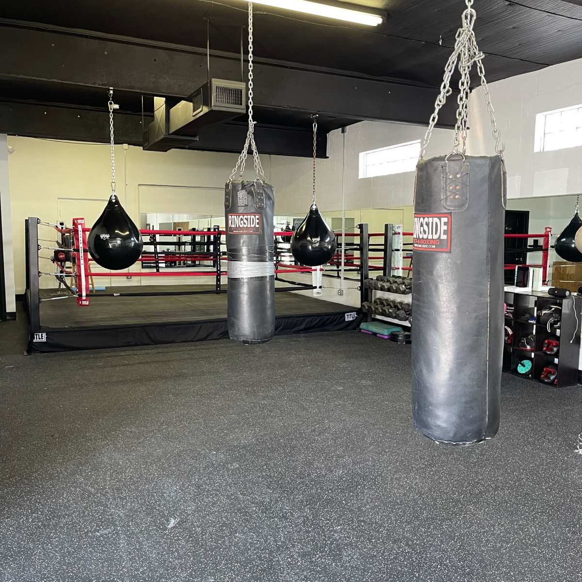 A boxing gym featuring two heavy bags and a speed bag in front of a boxing ring, with various weights and equipment in the background.