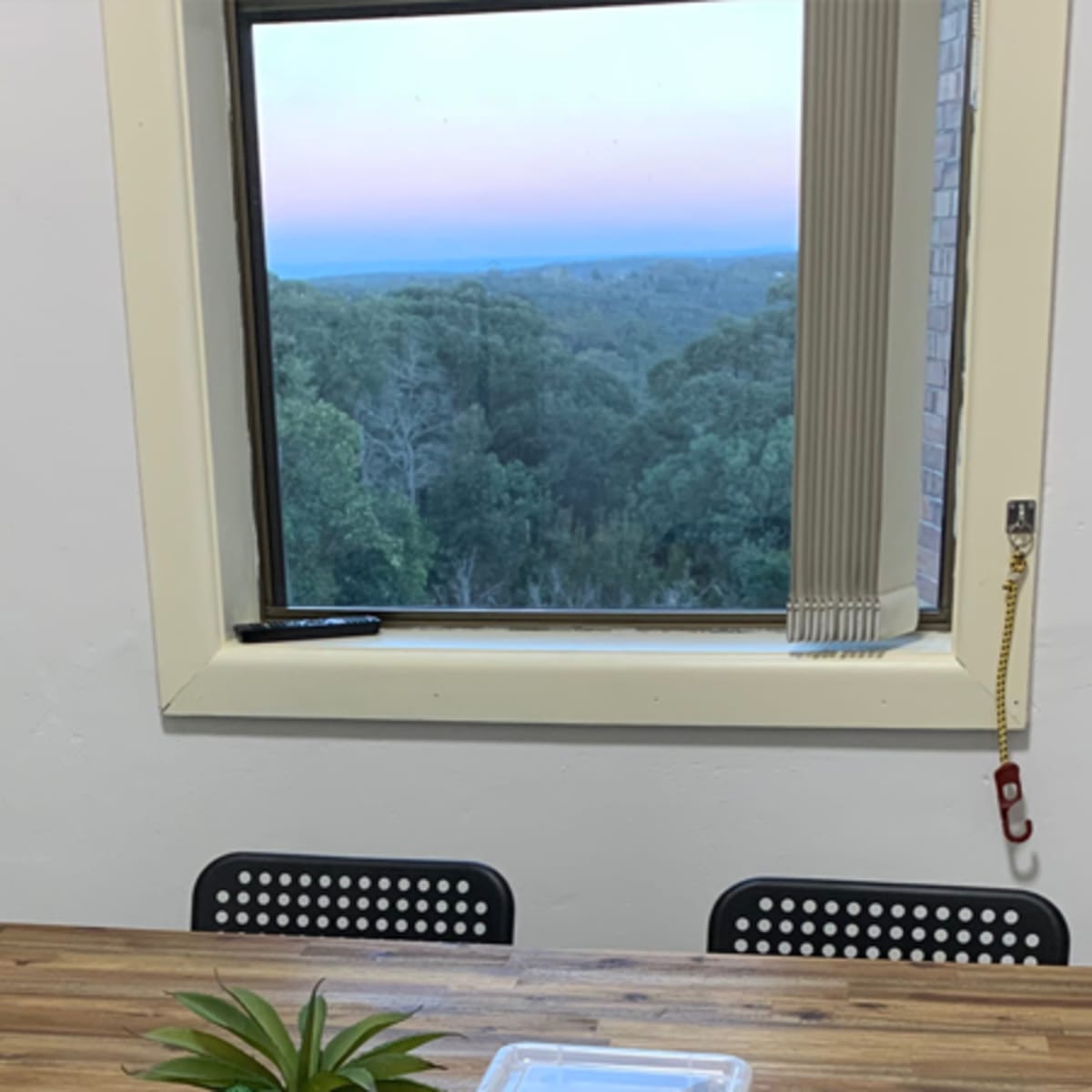 A small meeting room with a wooden table, four black chairs, a potted plant in the corner, and a large window overlooking a green landscape at dusk.