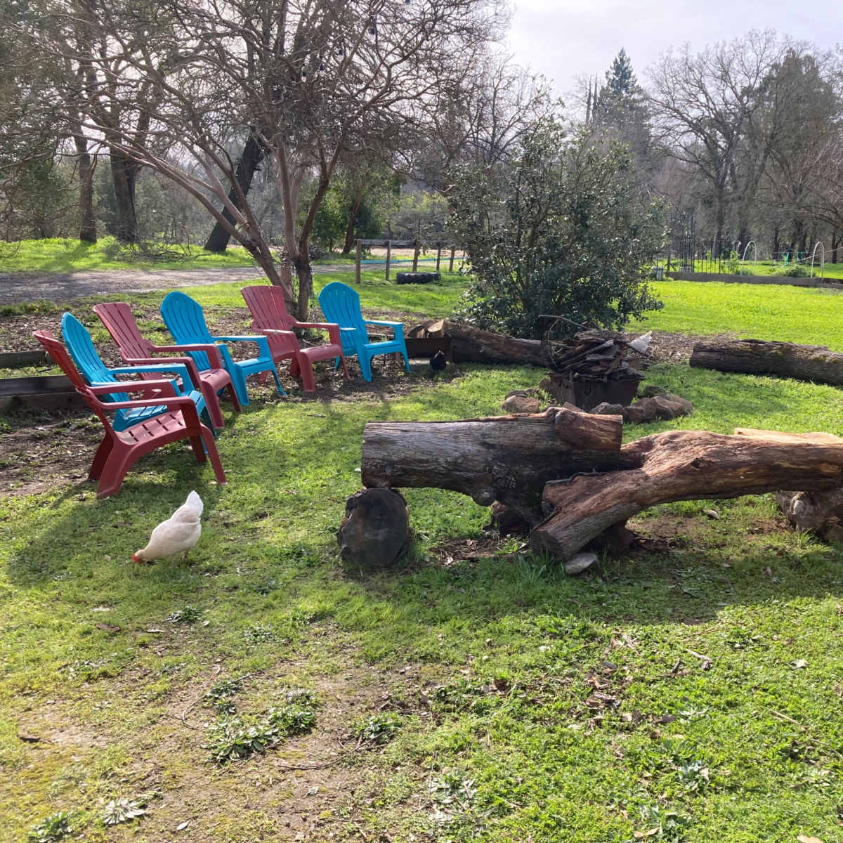 Cozy Fireside Experience in Citrus Heights Image in Citrus Heights, Citrus Heights, CA