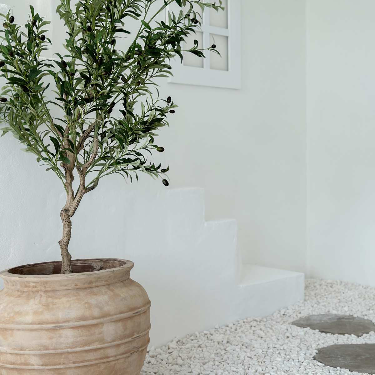 A potted olive tree stands beside a set of white steps on a gravel surface.
