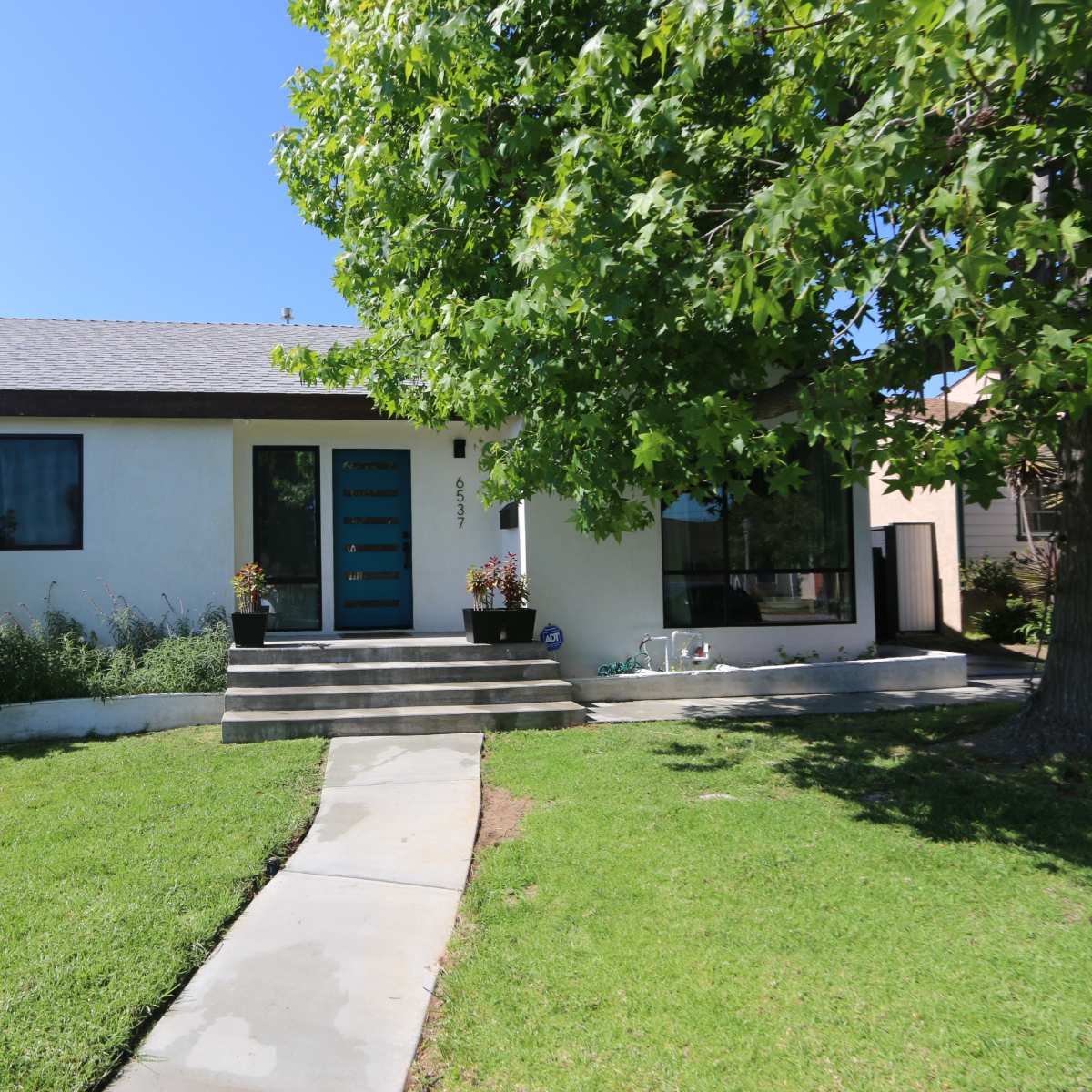 A single-story house with a flat roof is flanked by a well-maintained lawn and a large tree, featuring a front walkway leading to a modern double door entrance.