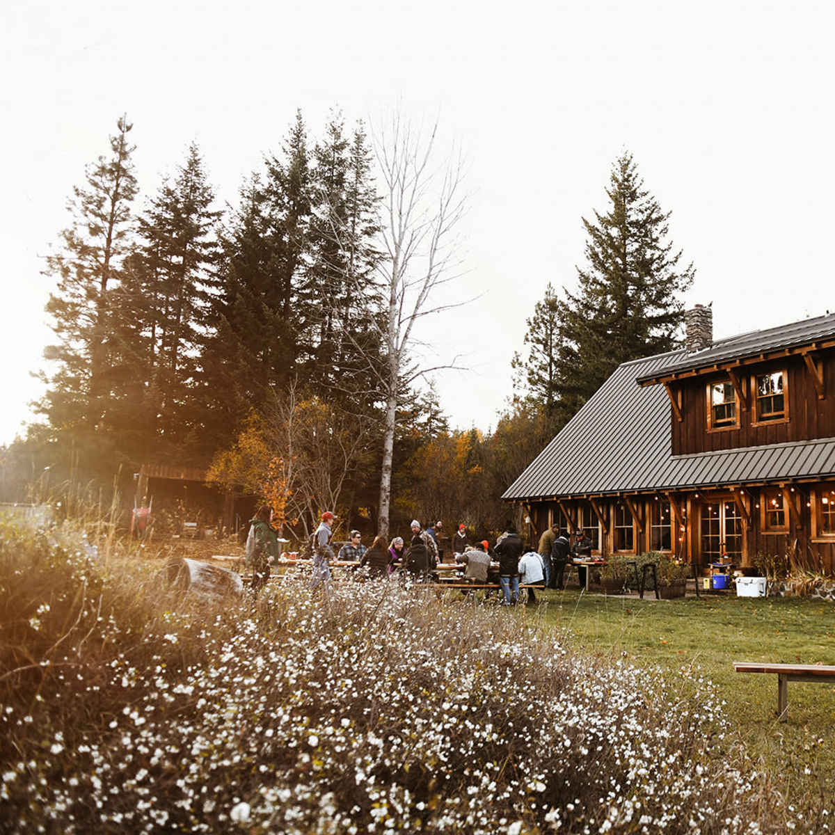 A wooden cabin, surrounded by trees, hosts a gathering of people outside on a grassy area.